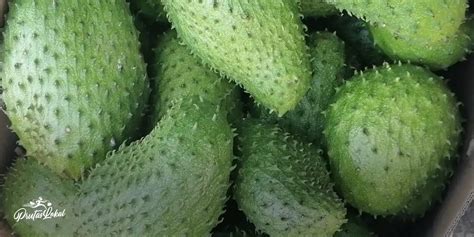 Guyabano (Soursop): Mga Nakakabilib na Health Benefits. Alamin!.